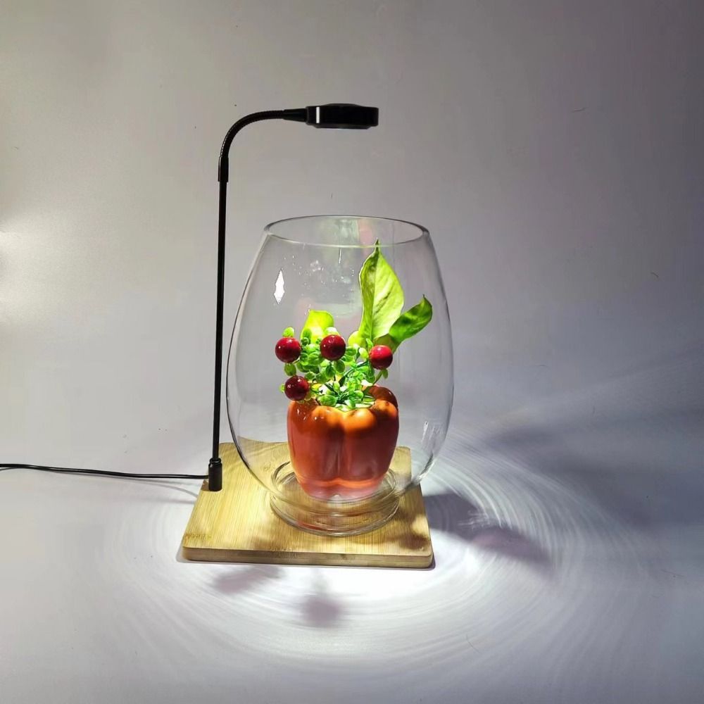 Aquarium Plant On Wood - Lampe de remplissage pour plantes d'aquarium