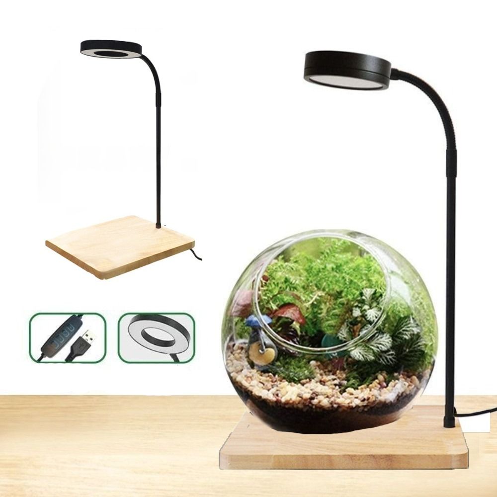 Aquarium Plant On Wood - Lampe LED pour Aquarium 10W, avec