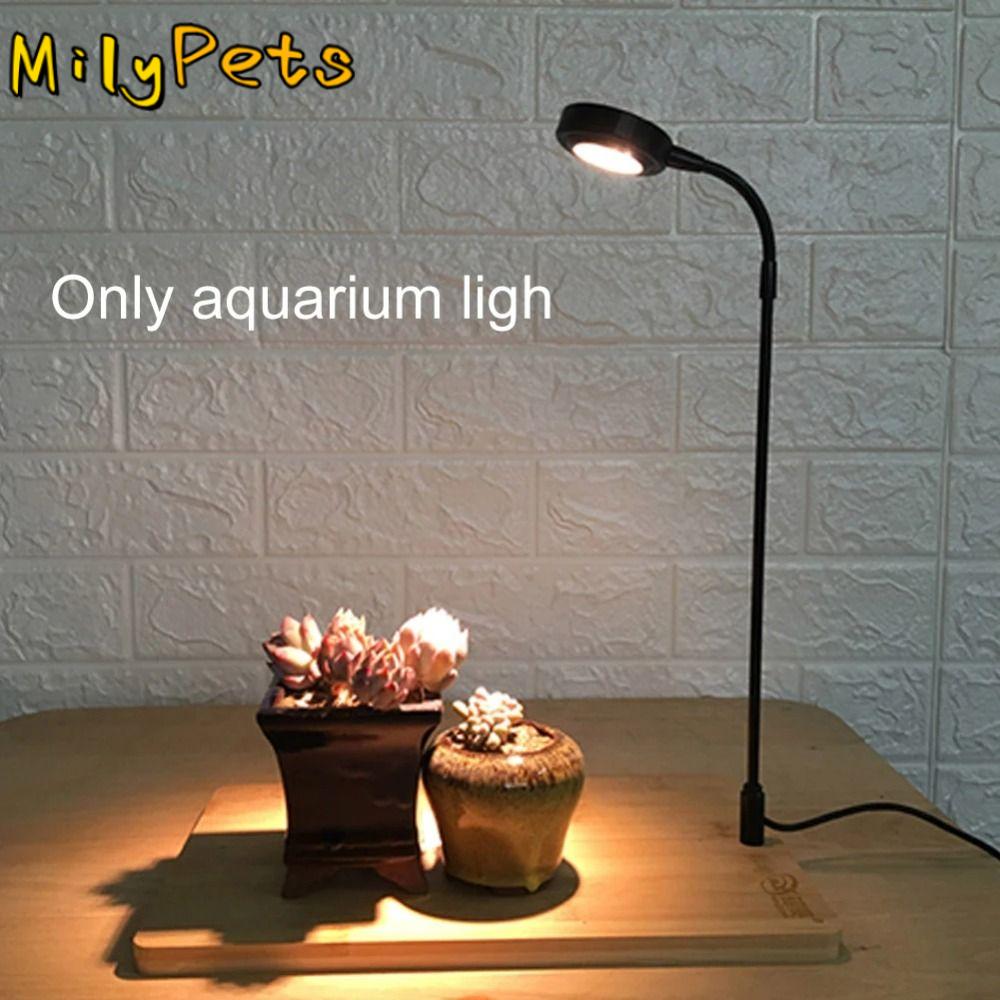 Aquarium Plant On Wood - Lampe de remplissage de plantes d'aquarium