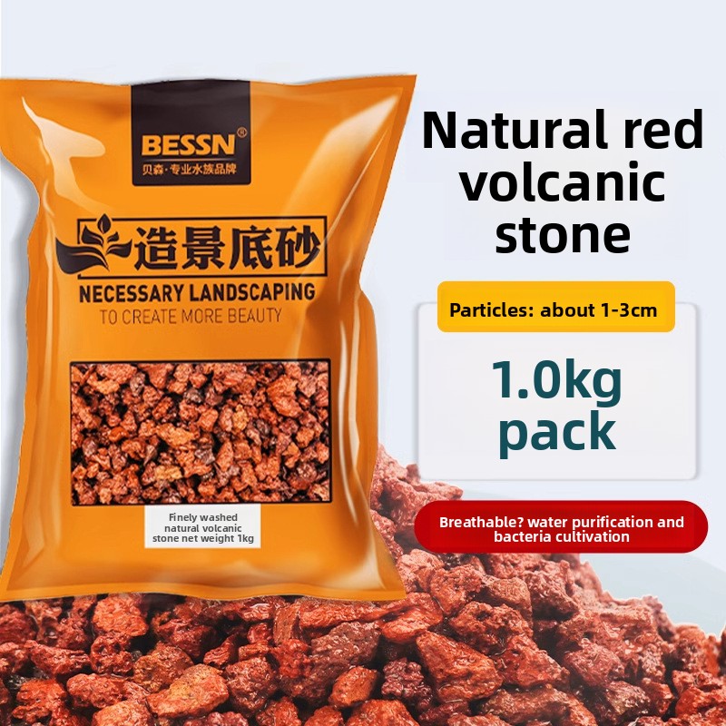Planted Aquarium With Gravel - BESSN – substrat d'aquarium de roche