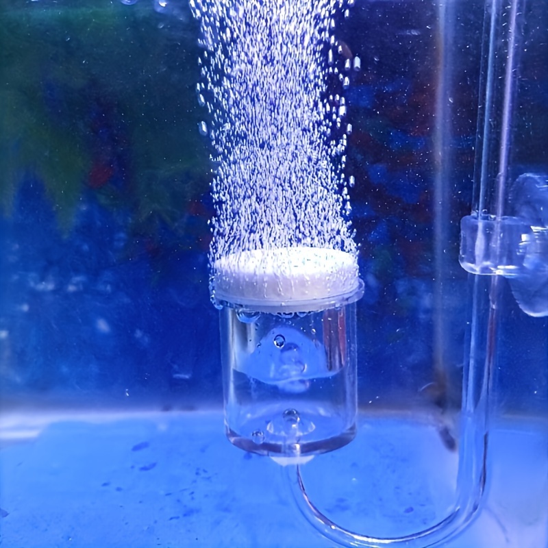 Planted Aquarium Accessories - Diffuseur d'atomiseur de CO2 en verre