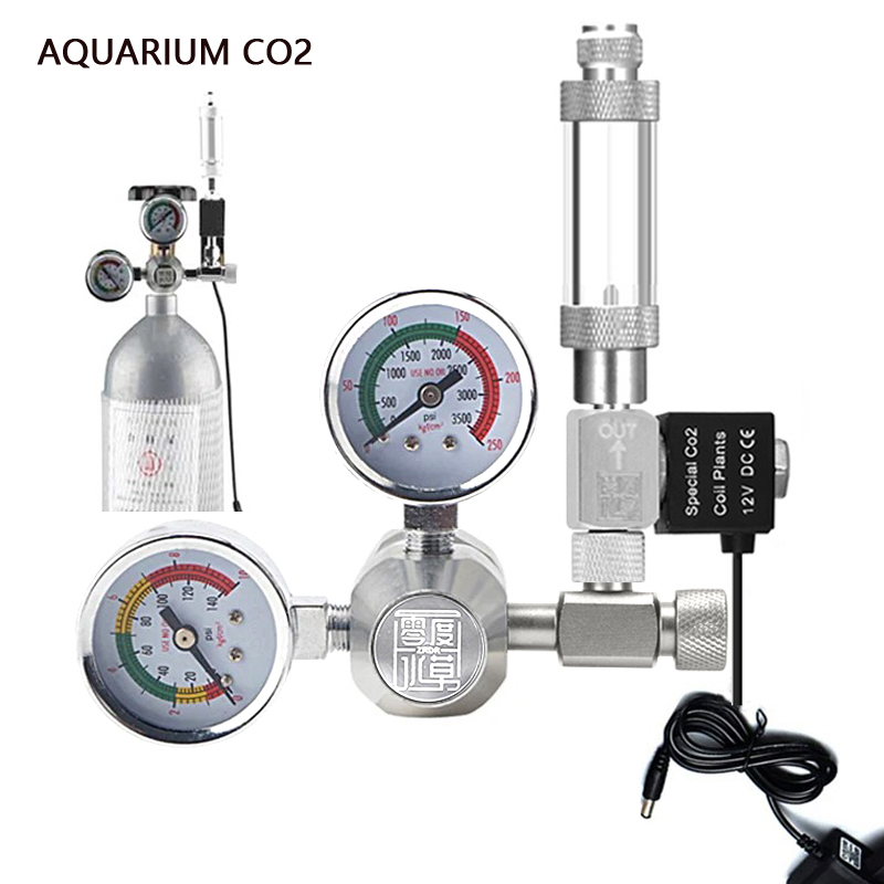 Planted Aquarium Accessories - Kit régulateur de CO2 pour aquarium