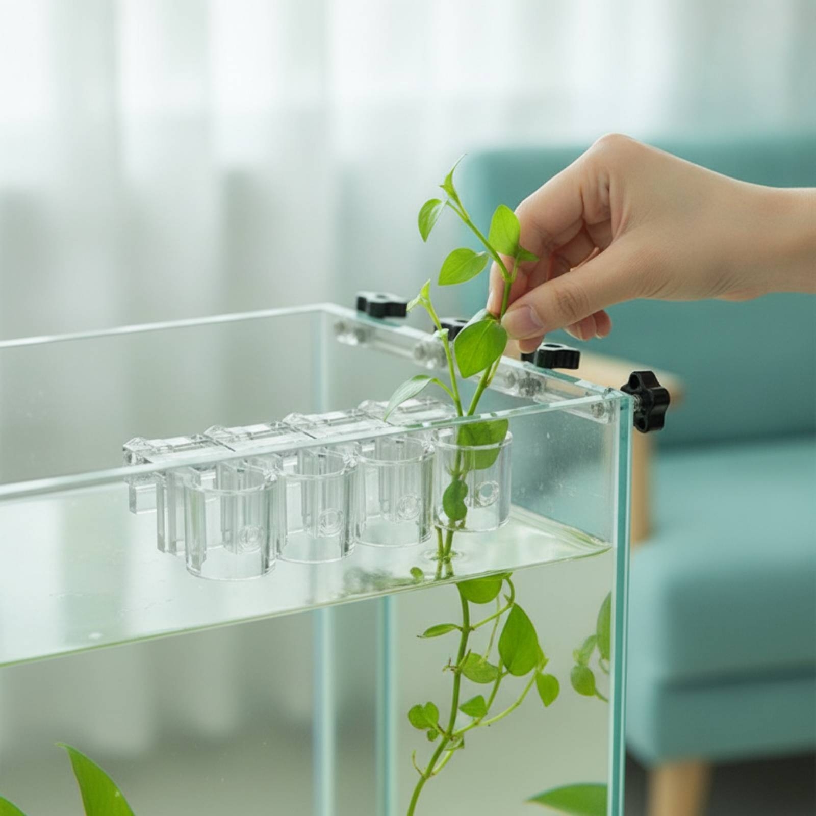 Lot de 6 supports transparents - Aquarium Planted Plants avis et prix
