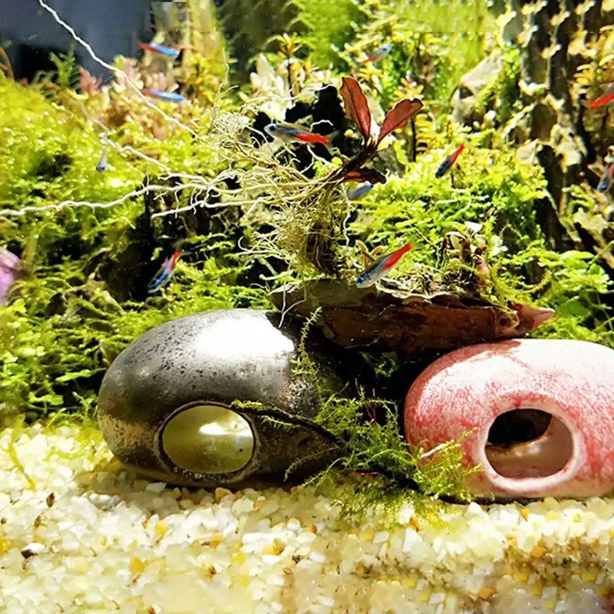 Pierre de gravier en cristaux  - Planted Aquarium With Gravel avis et prix