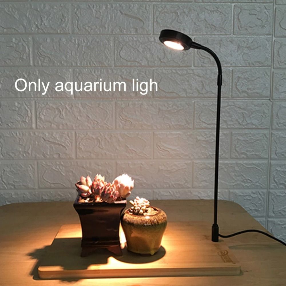Lampe de remplissage pour plan - Aquarium Plant On Wood avis et prix