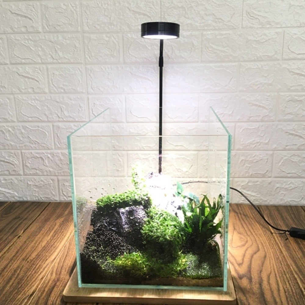 Lampe LED pour Aquarium 10W, a - Aquarium Plant On Wood avis et prix