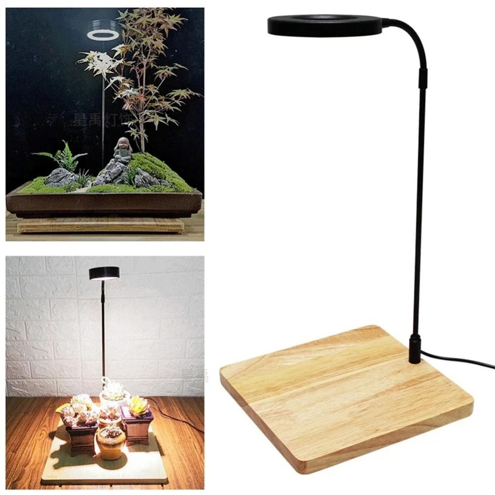 Lampe de remplissage de plante - Aquarium Plant On Wood avis et prix