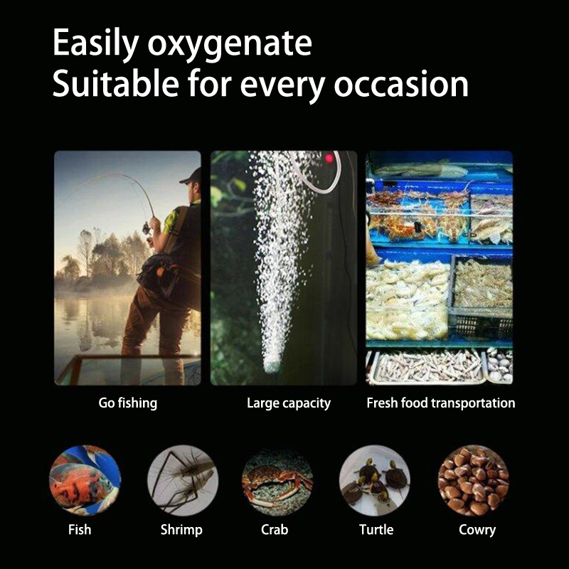 Kit de mini pompe à oxygène po - Planted Aquarium Accessories avis et prix