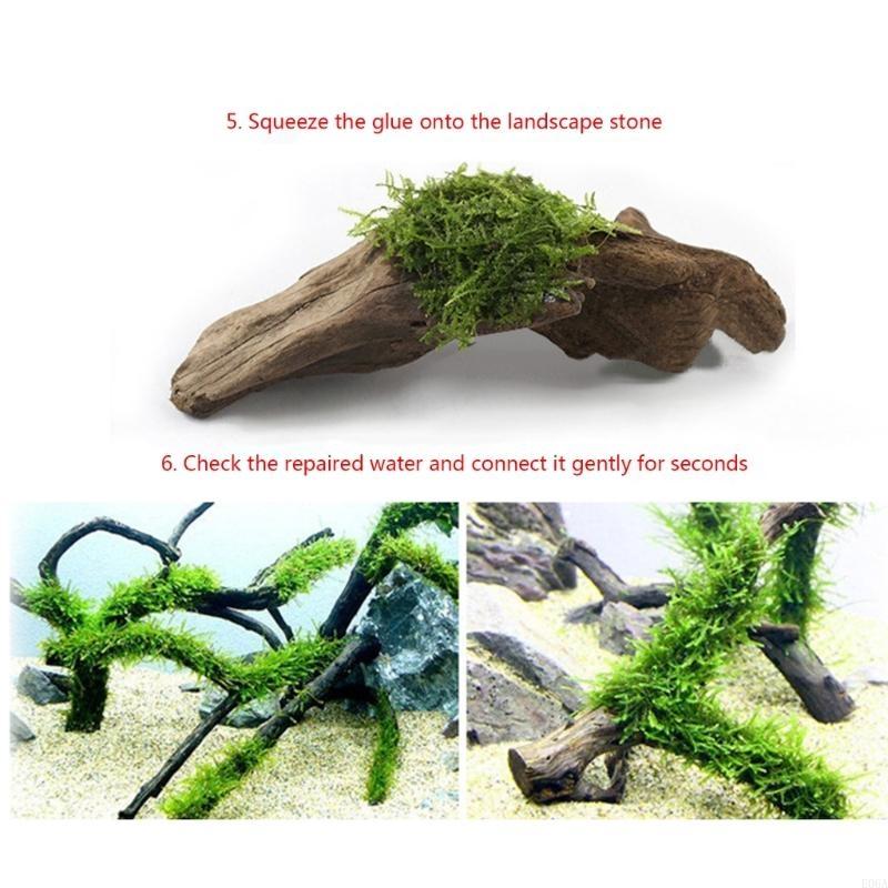 25 pièces d'aquarium pour plan - Aquarium Plant Glue avis et prix