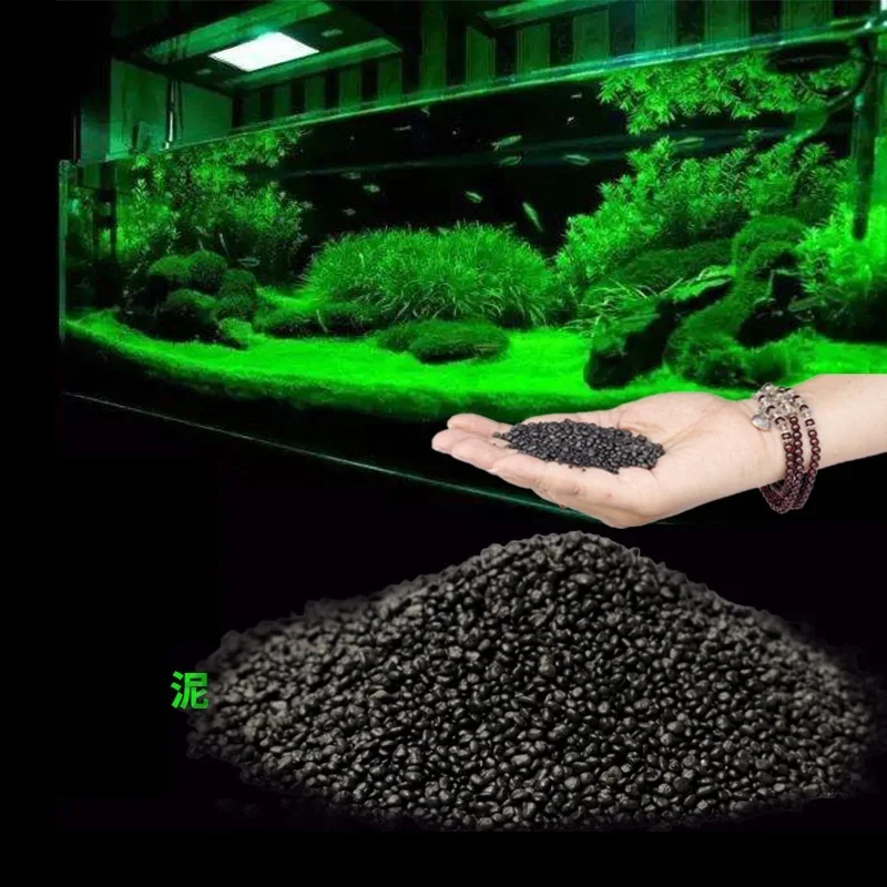 Substrat pour aquarium planté  - Planted Aquarium With Gravel avis et prix