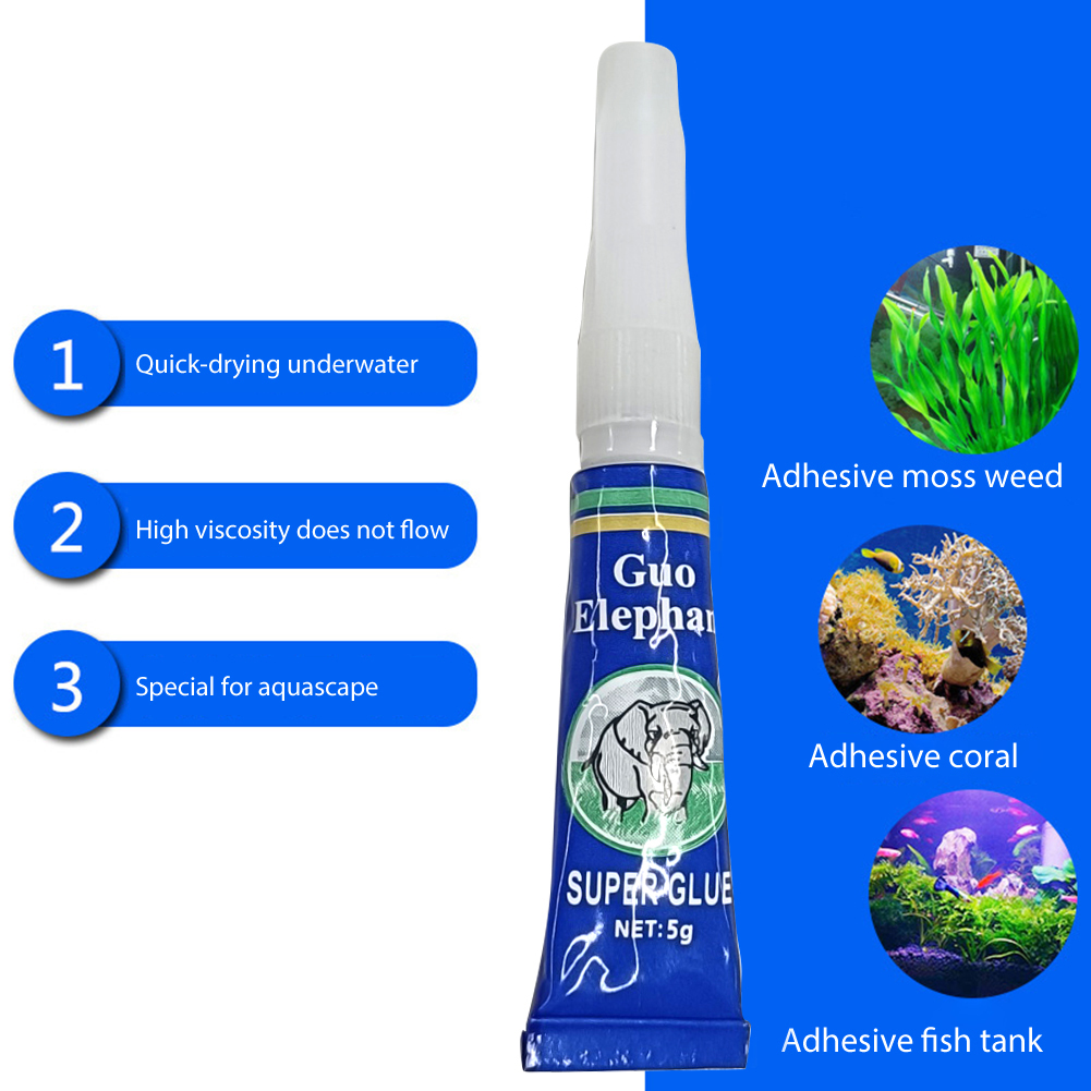 5-30 pièces de colle pour plan - Aquarium Plant Glue avis et prix