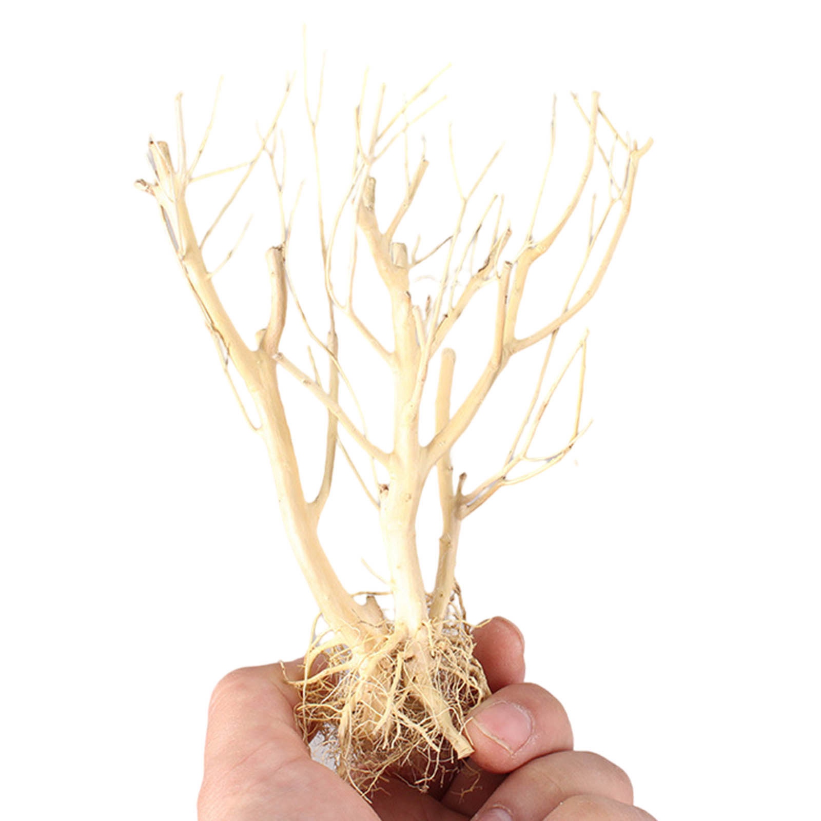Nouvel Ornement d'Aquarium DIY - Aquarium Plant On Wood avis et prix