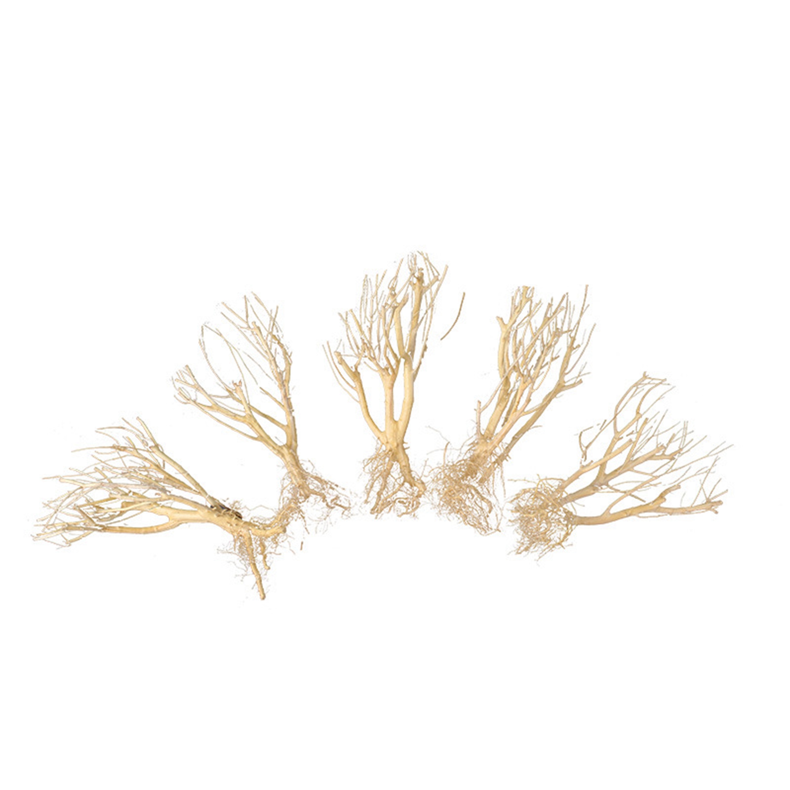 Nouvel Ornement d'Aquarium DIY - Aquarium Plant On Wood avis et prix