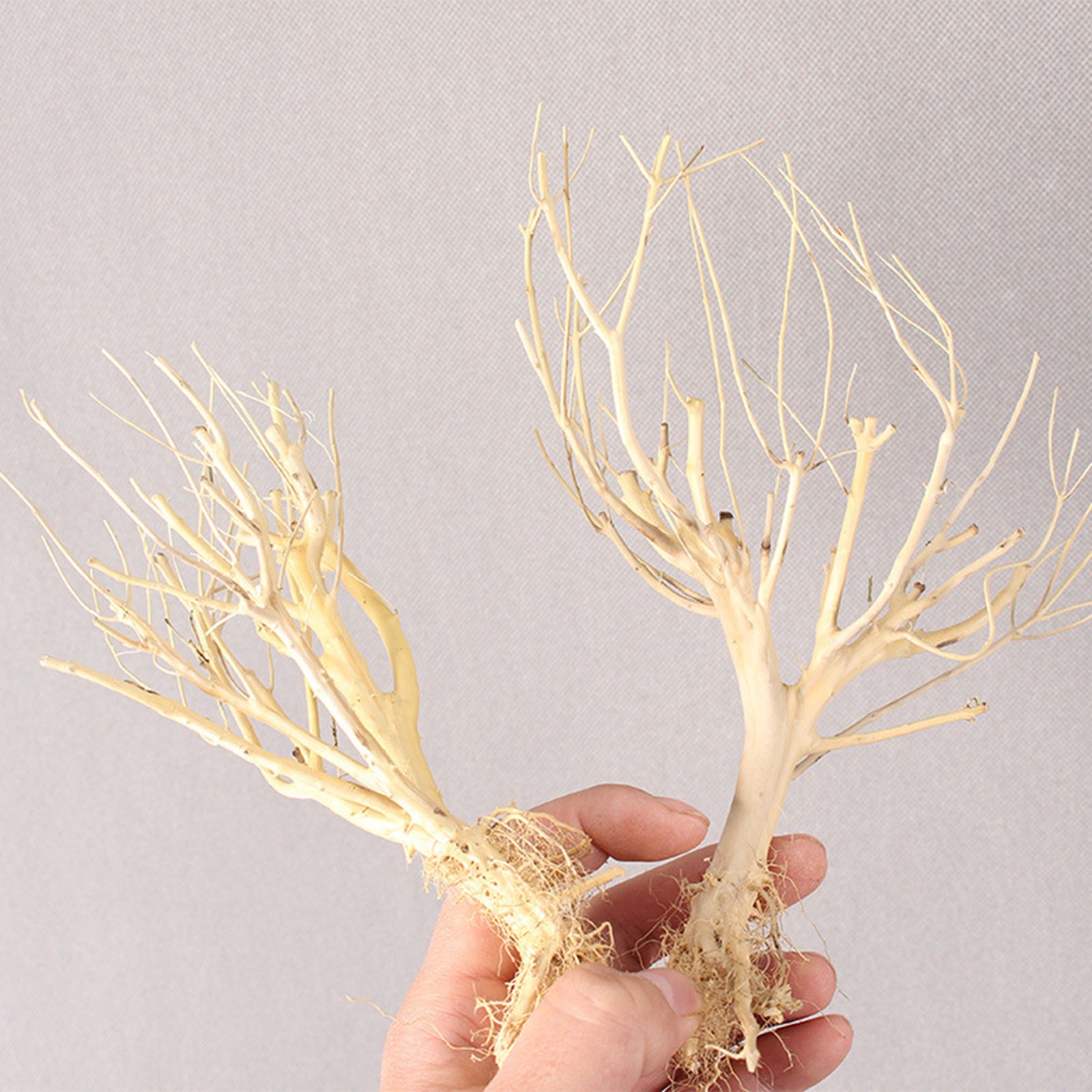 Nouvel Ornement d'Aquarium DIY - Aquarium Plant On Wood avis et prix