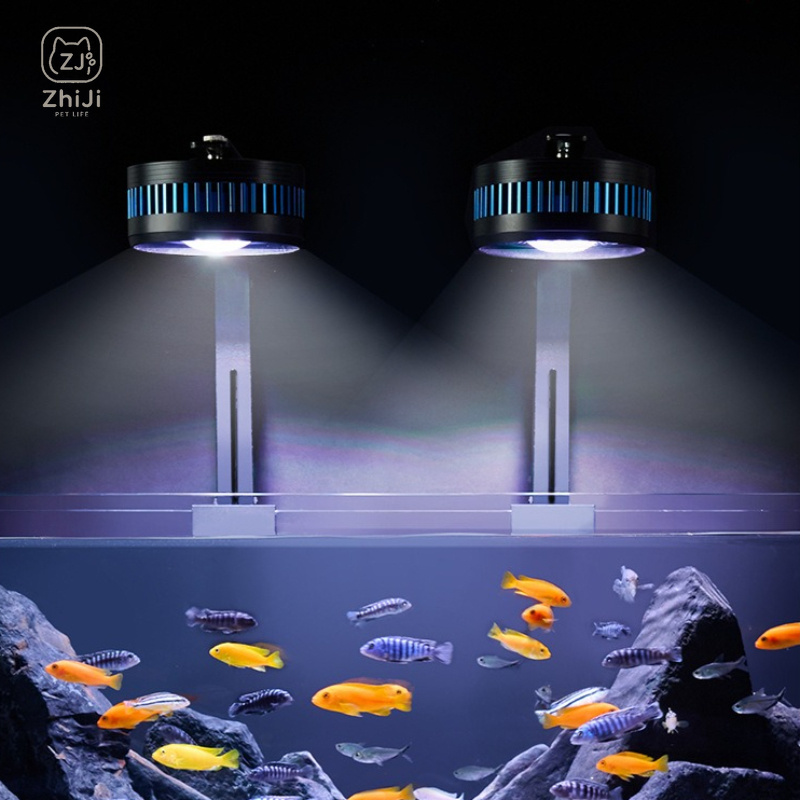 Lampe LED pour aquarium, spect - Aquarium Plant On Wood avis et prix
