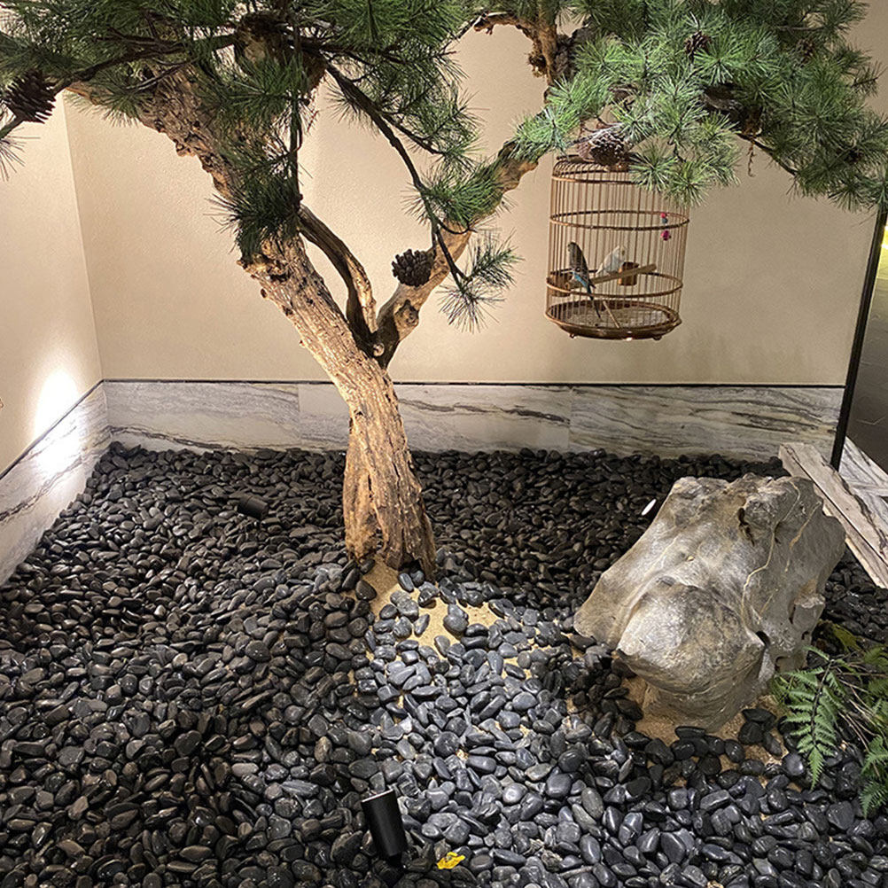 1 ensemble de galets d'aquariu - Planted Aquarium With Gravel avis et prix