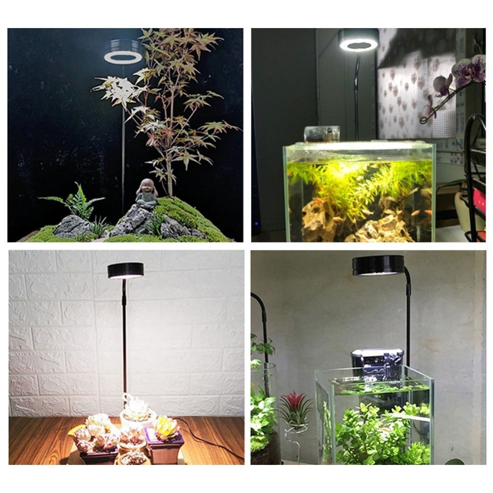 Lampe LED pour Aquarium 10W, a - Aquarium Plant On Wood avis et prix