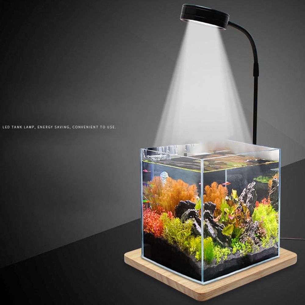 Lampe LED pour Aquarium 10W, a - Aquarium Plant On Wood avis et prix