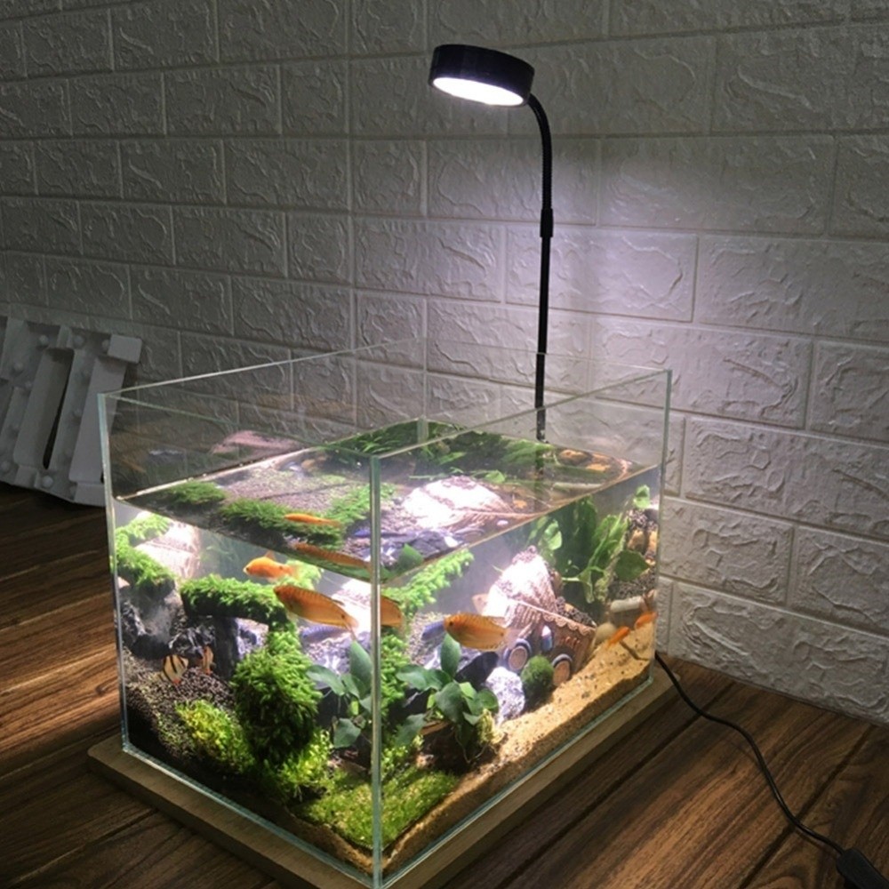 Lampe LED 10W pour aquarium av - Aquarium Plant On Wood avis et prix