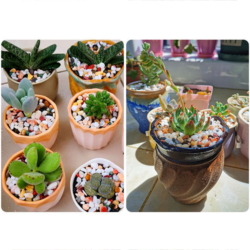 Pierre de gravier naturelle 20 - Planted Aquarium With Gravel avis et prix