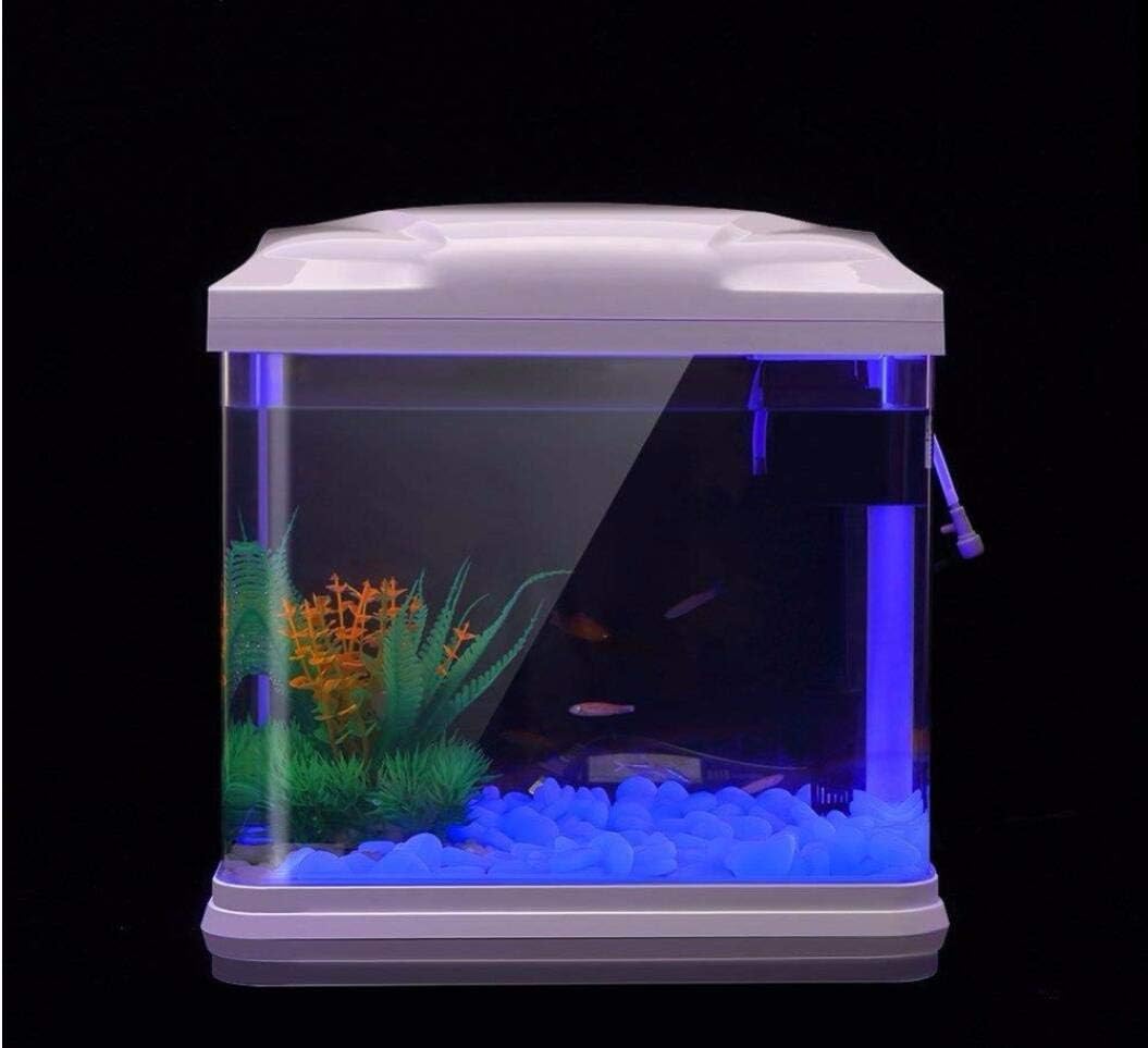 Roches d'aquarium scintillante - Aquarium Planted Plants avis et prix