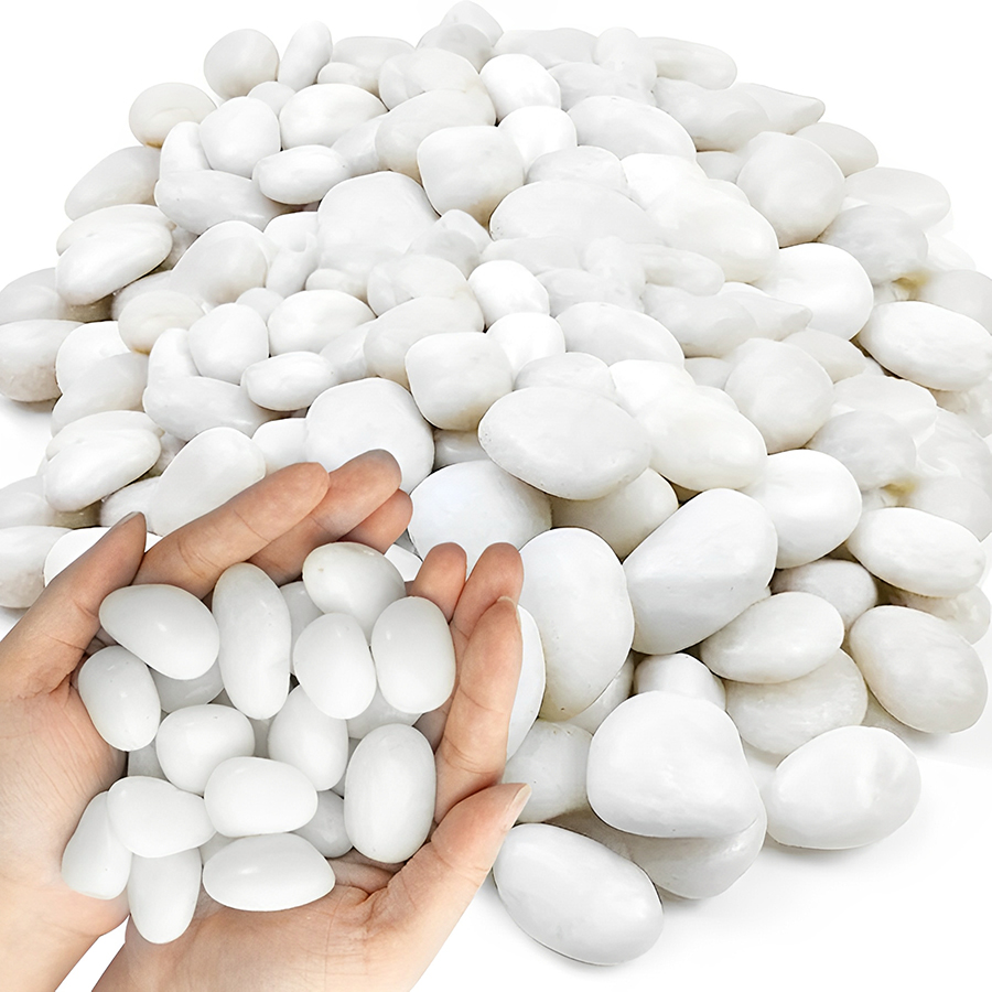 Galets d'aquarium blancs polis - Planted Aquarium With Gravel avis et prix
