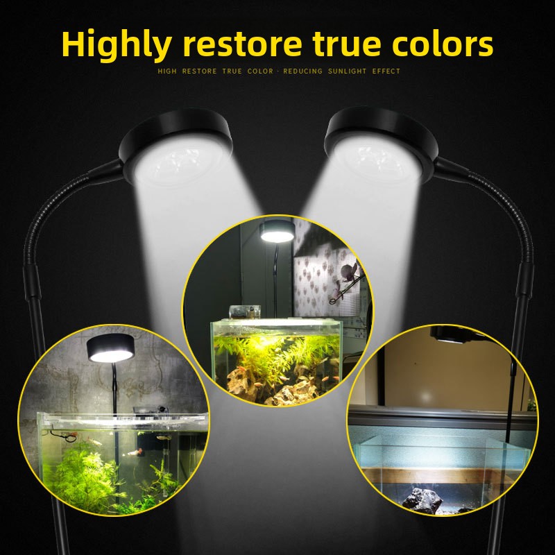 Projecteur d'aquarium USB à in - Aquarium Plant On Wood avis et prix