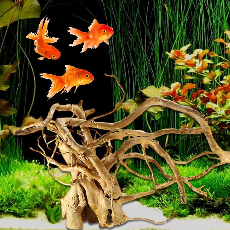 Décoration d'aquarium en bois  - Aquarium Plant Glue avis et prix