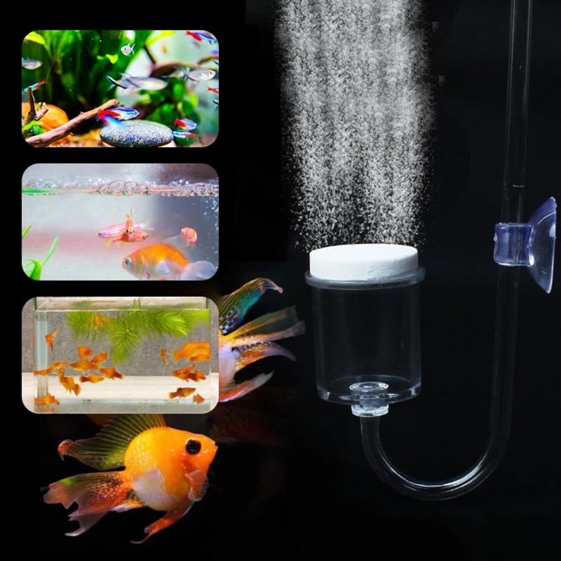 Diffuseur de CO2 pour aquarium - Planted Aquarium Accessories avis et prix