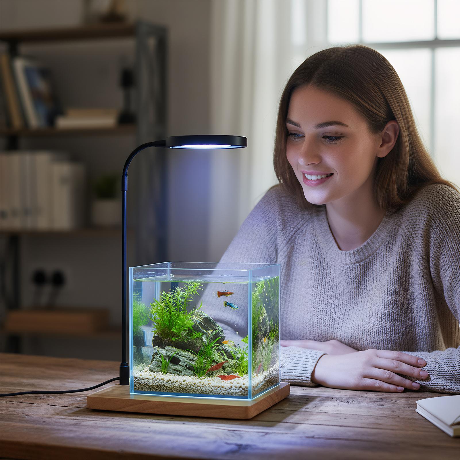 Lumières de plantes pour la cu - Aquarium Plant On Wood avis et prix