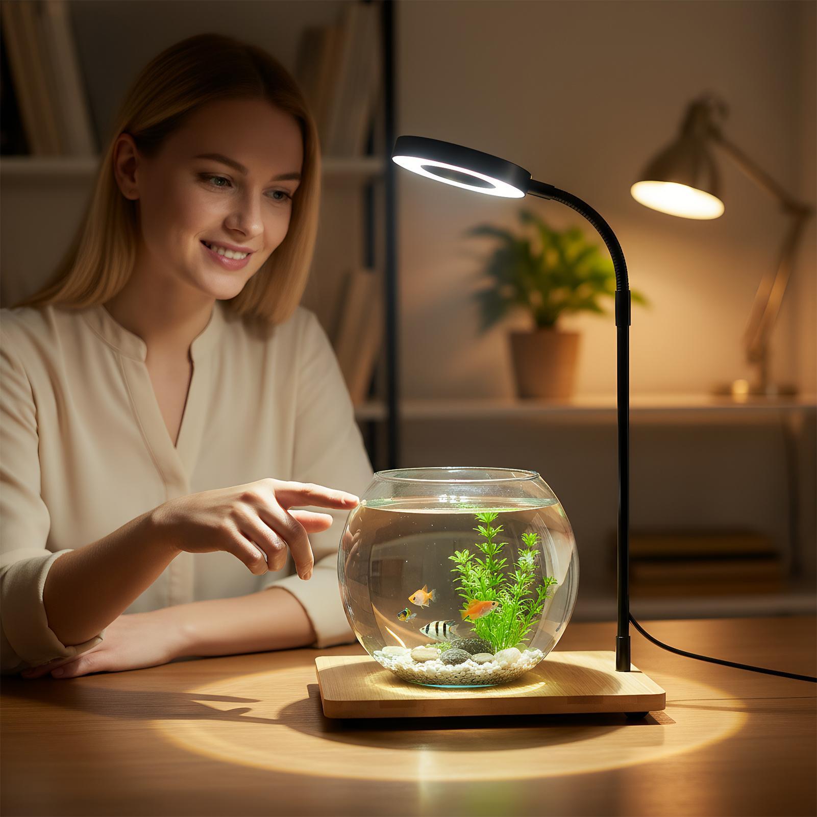 Lumières de plantes pour la cu - Aquarium Plant On Wood avis et prix