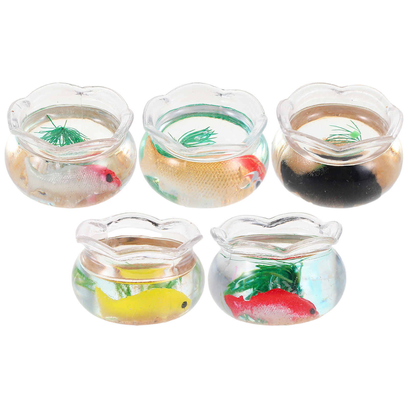 5 pièces de mini aquariums ron - Aquarium Planted Plants avis et prix
